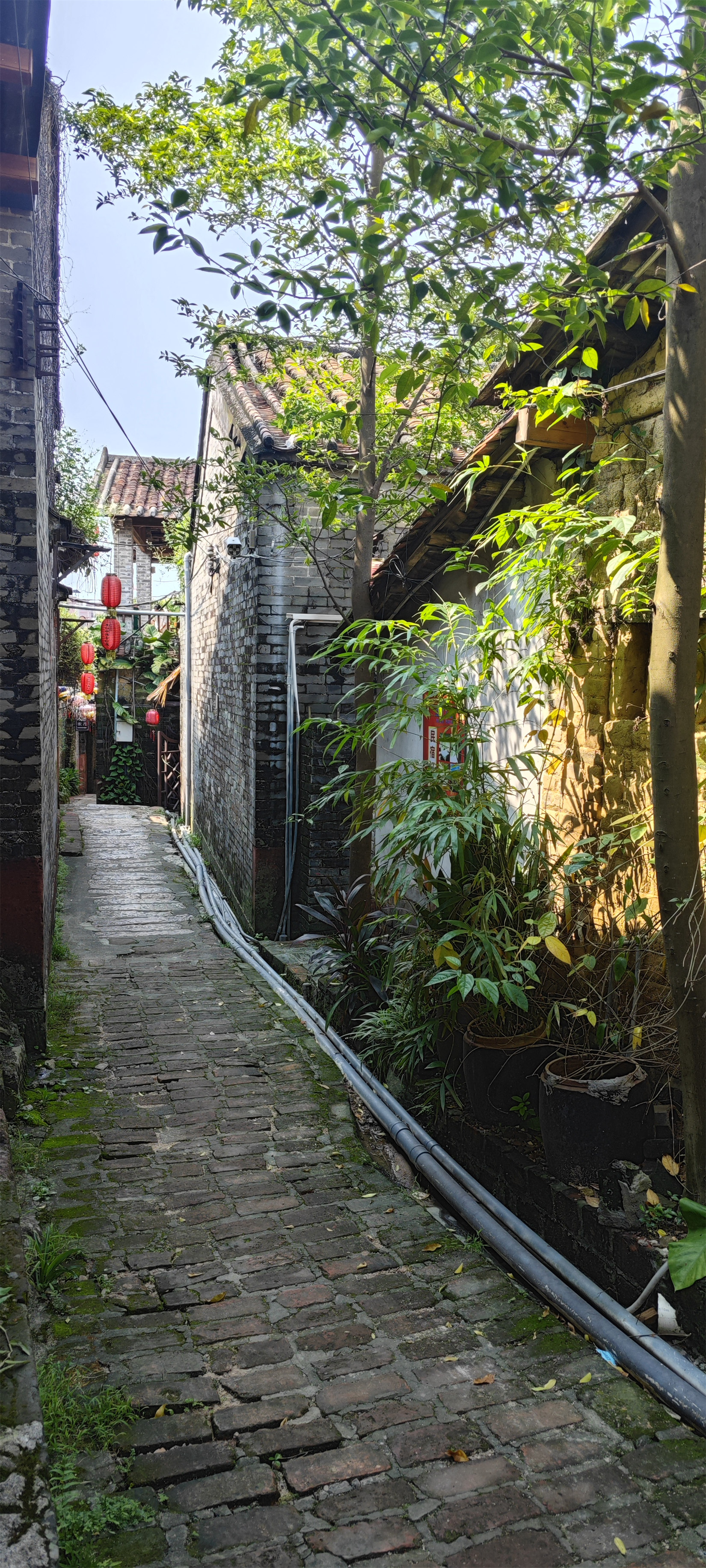 茶山南社村