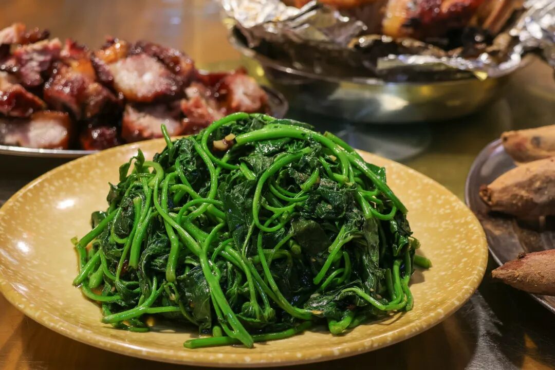 红薯叶 红薯叶