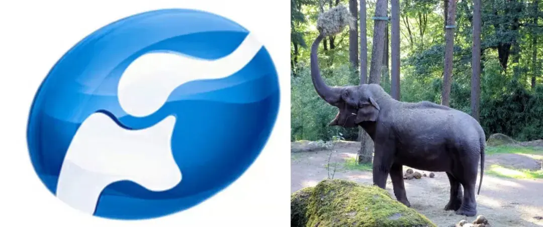 图文相关 图文相关